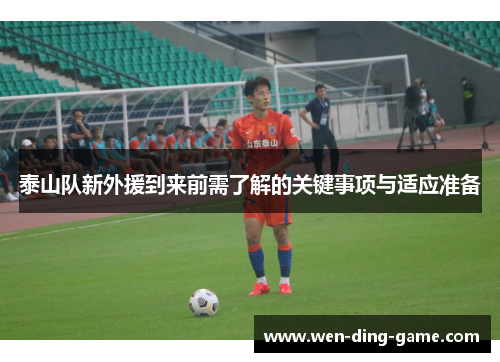 泰山队新外援到来前需了解的关键事项与适应准备